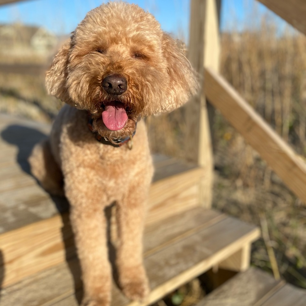 Meet your Posher, Heather